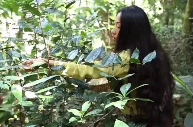 爱，在雨林绽放璀璨星光