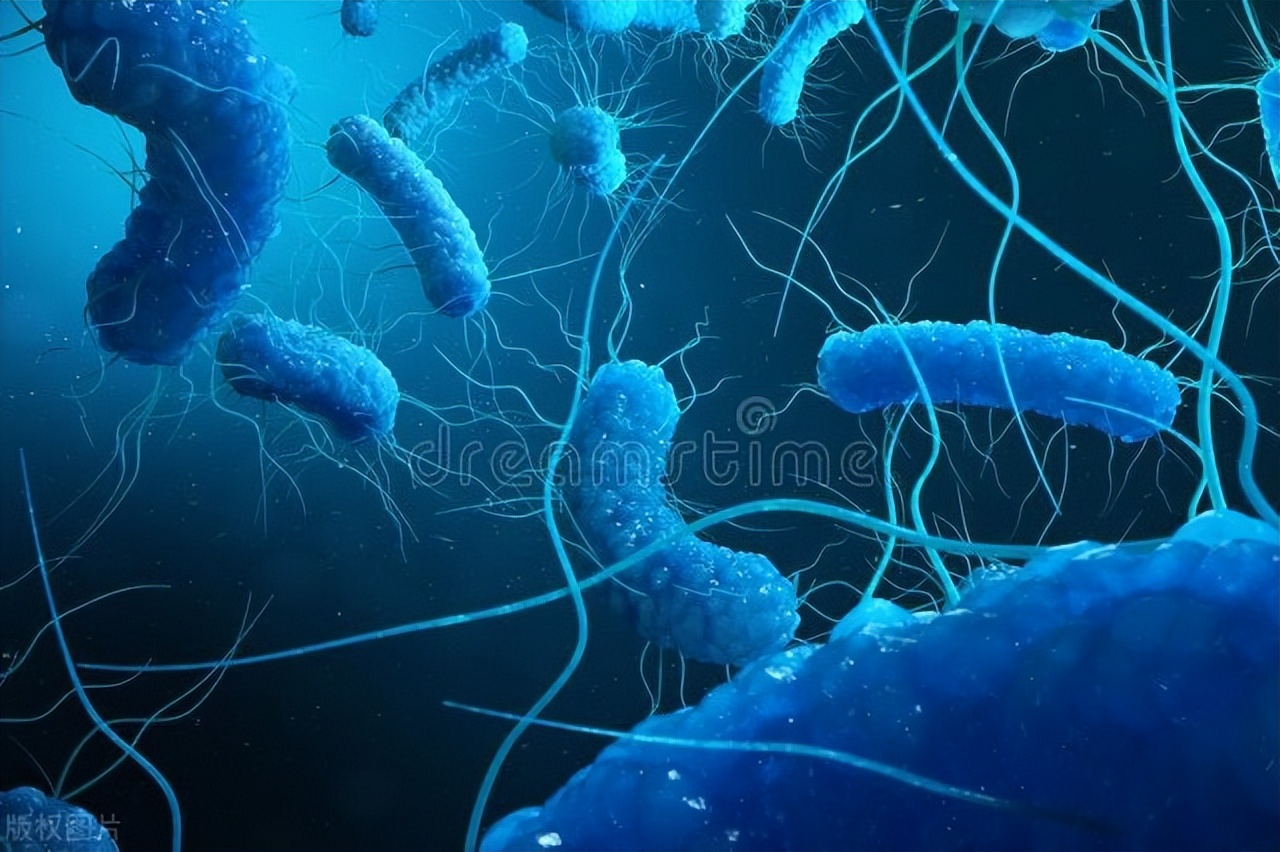 为什么说每天吃鸡蛋会更健康,吃鸡蛋能预防什么病