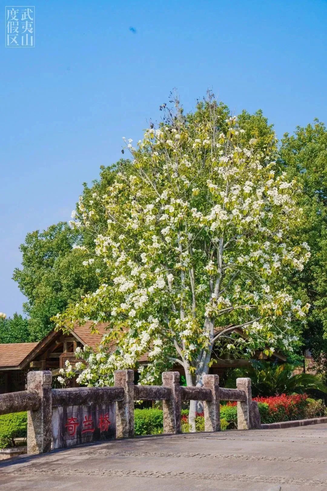 武夷山水庄夜晚,武夷山景区攻略玩水的地方