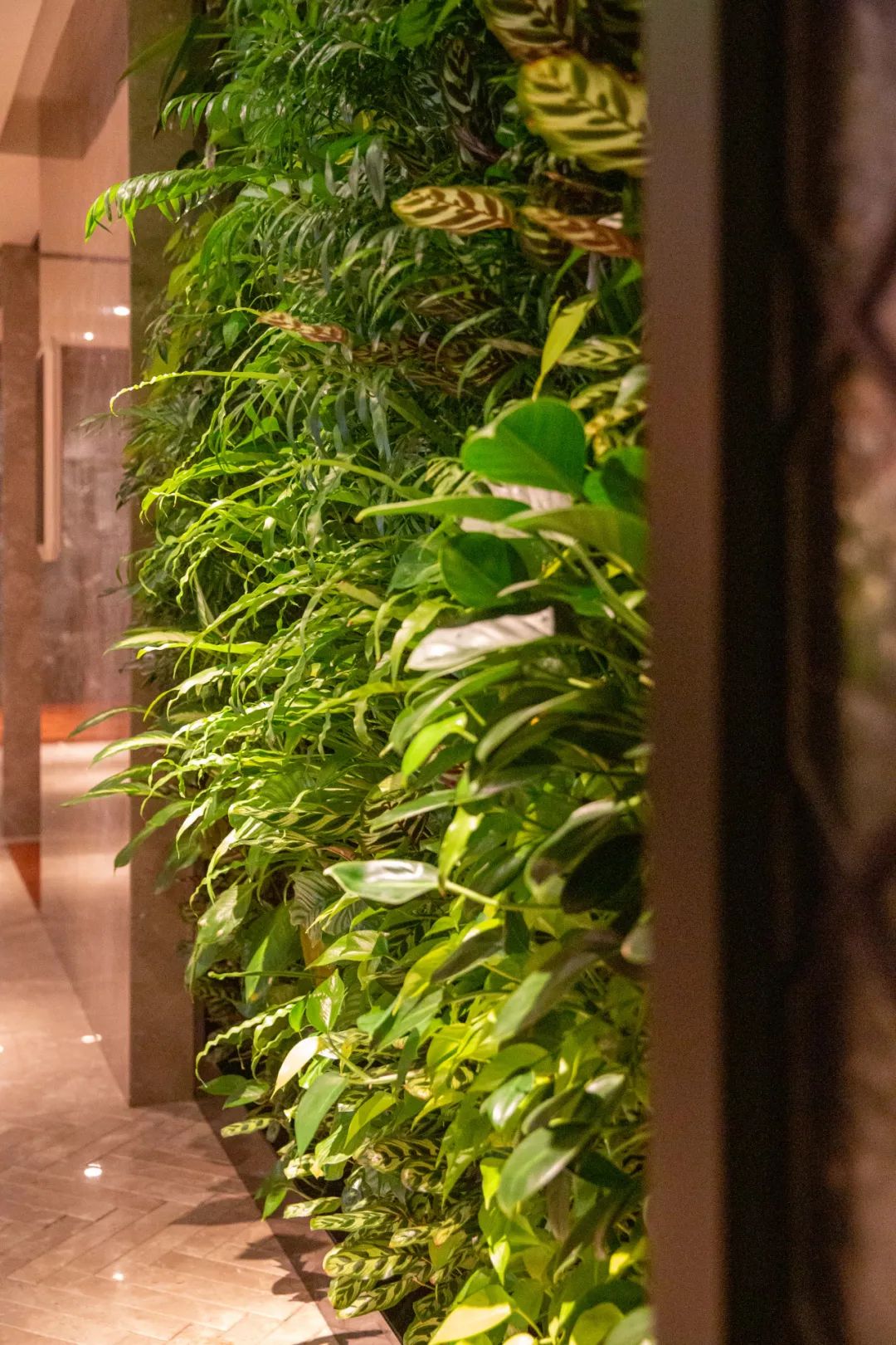 厦门华尔道夫酒店自由行热门攻略,厦门华尔道夫酒店盛大开业