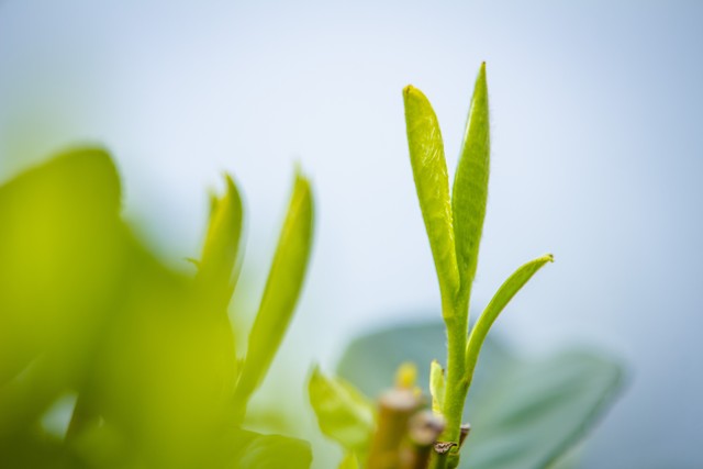 头条新人一个月涨粉1000,头条一个半月涨粉一千