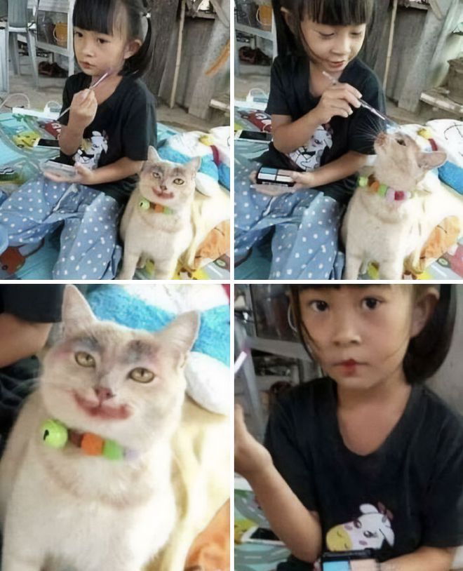 适合学生养的小型宠物100元以内,建议穷人养的10种小型宠物