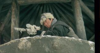 十部顶级港片烂片,十大烂片名导