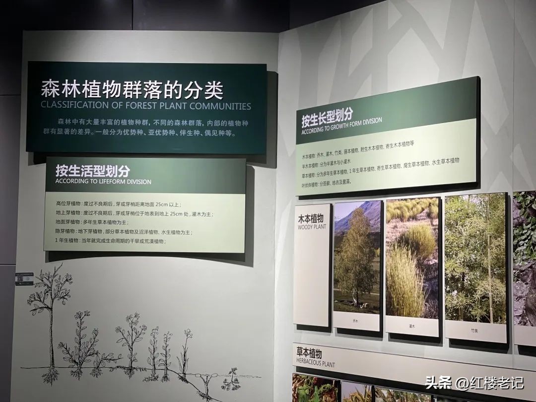 东北林业大学家具设计博士,东北林业大学家具制造技术专业