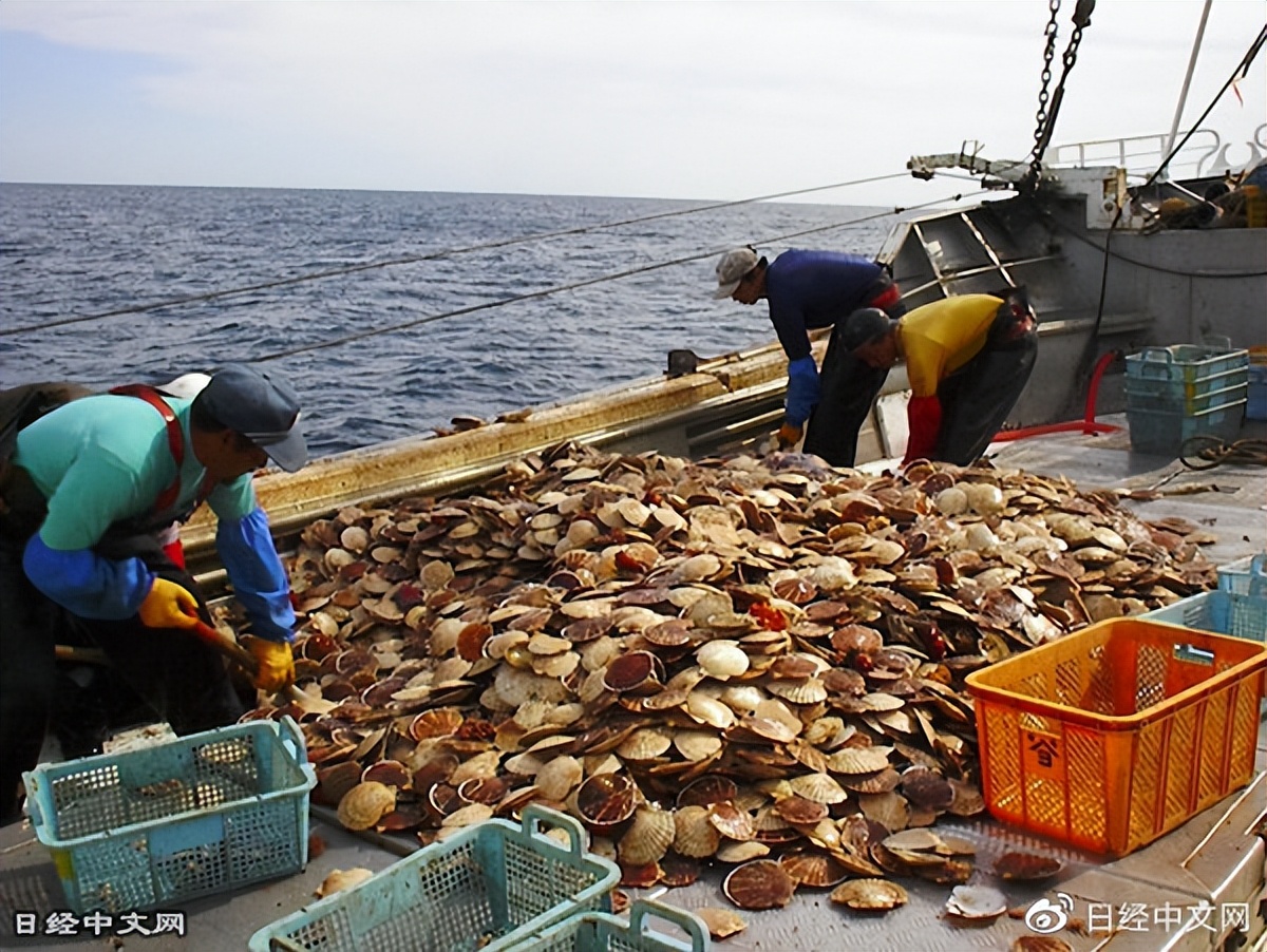 日本水产品出口排行榜,中国进口日本水产品趋势