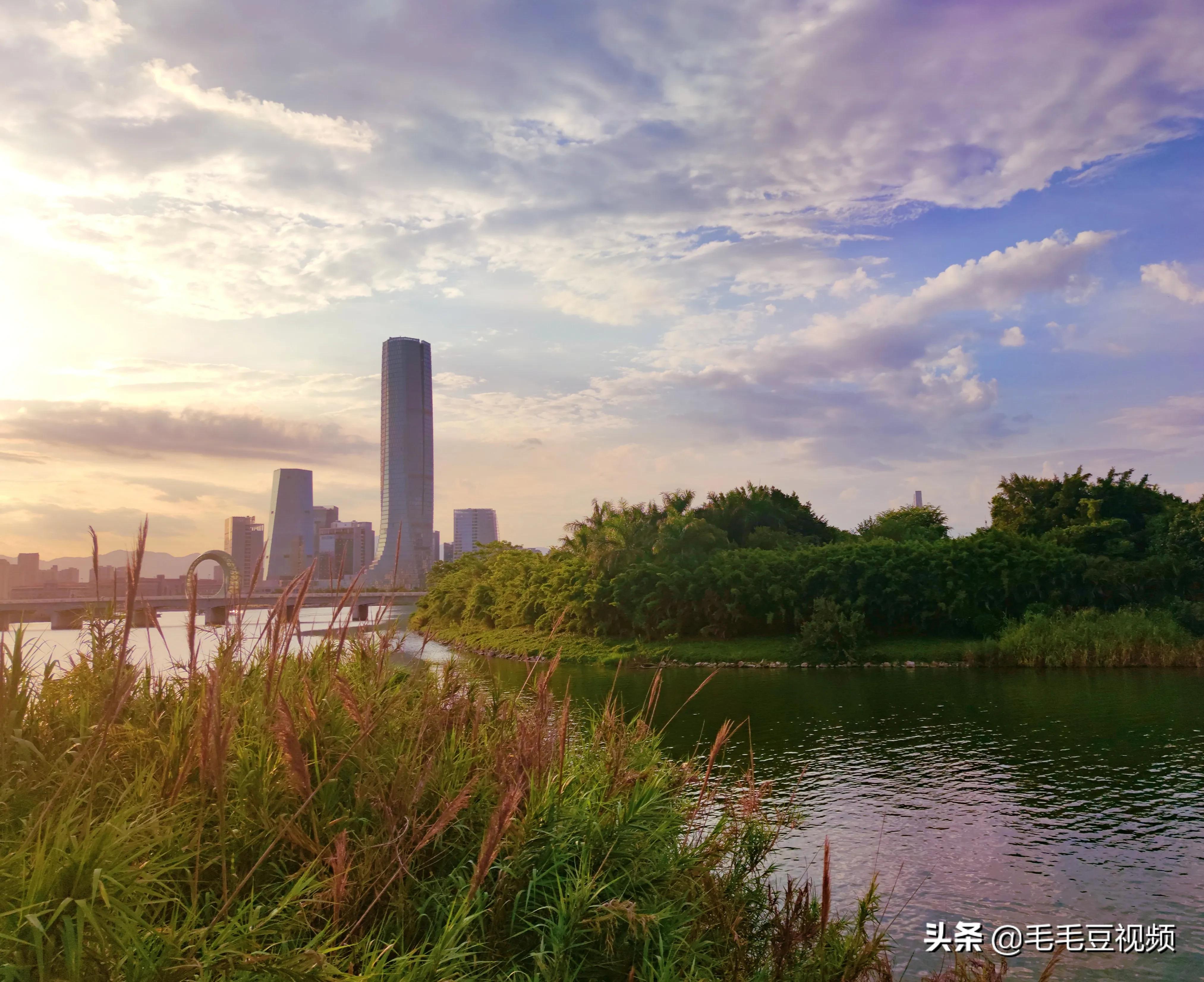 厦门适合初次约会的景点,厦门约会免费景点攻略图