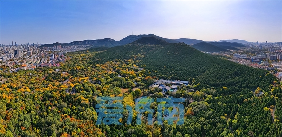 趵突泉景区最新消息,千佛山大明湖趵突泉哪个最值得去