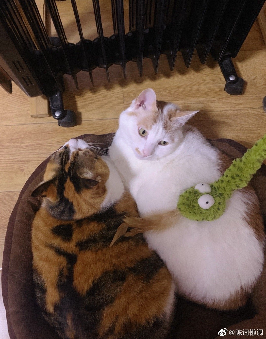 网文圈消失很久的大神,现在所谓的网文大神