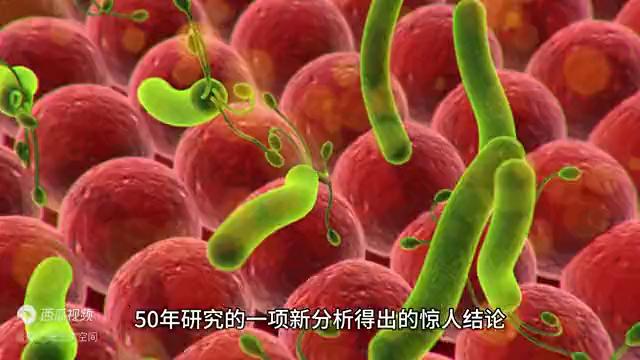 杀虫剂会造成不孕不育吗,杀虫剂对卵子有影响吗