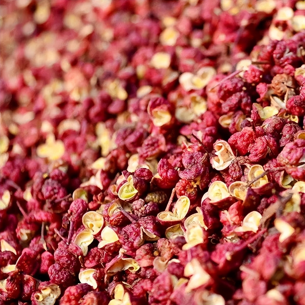 全国哪的花椒最正宗？经过对比，这4个地方名气最大，有你家乡吗