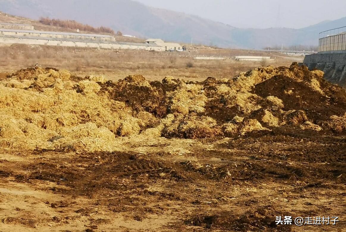 农村人自制高级营养土最简单,怎么低成本自制营养土