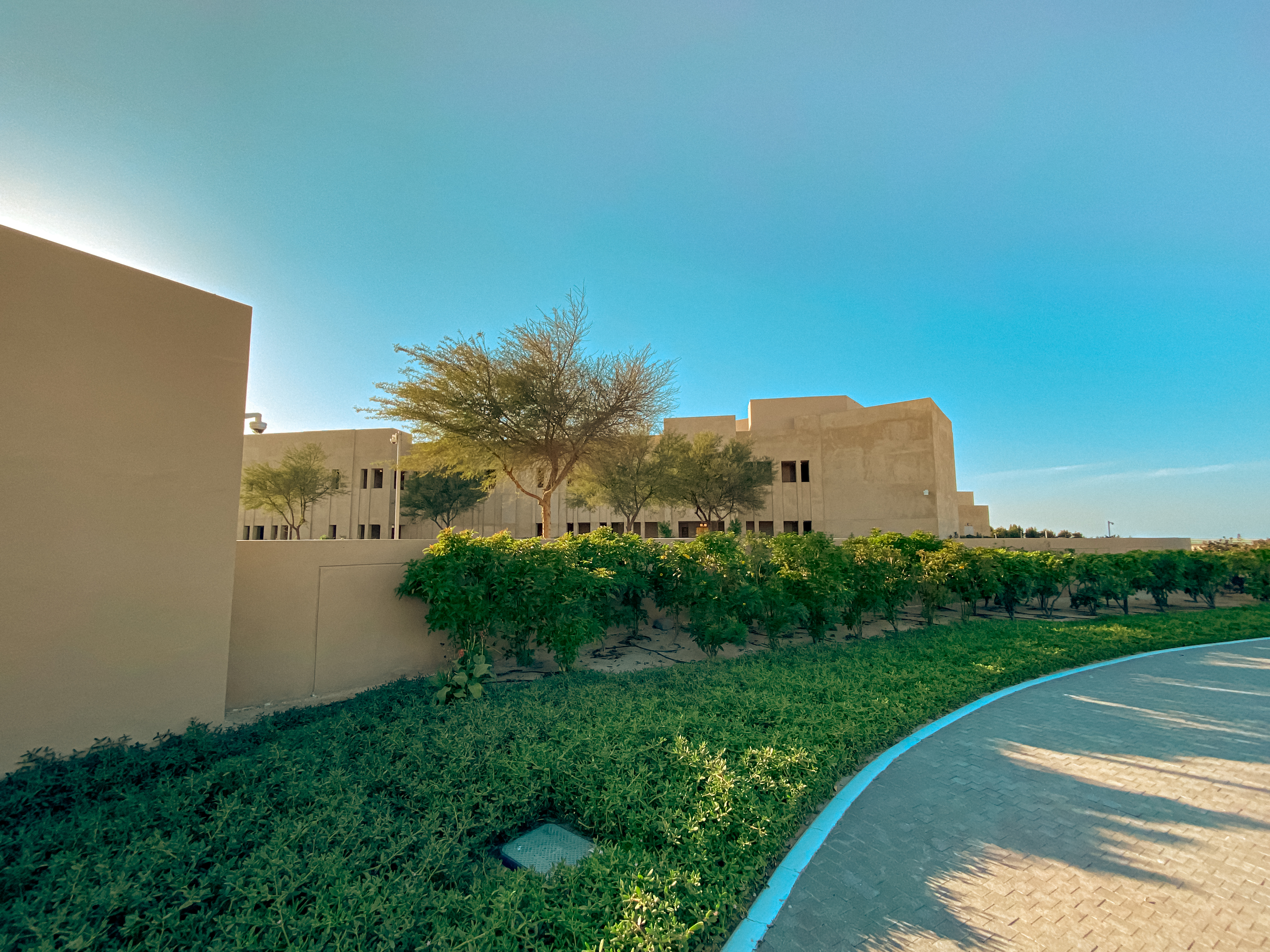 德国卡塔尔世界杯之旅,德国对卡塔尔世界杯