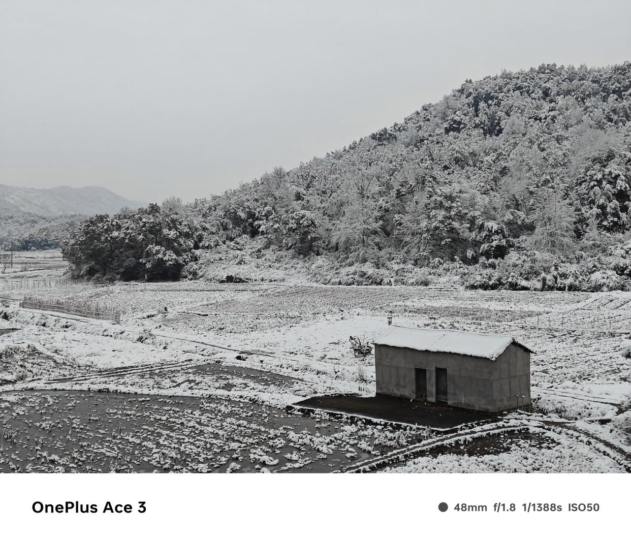 1.5k东方屏,一加ace3深度测评最新