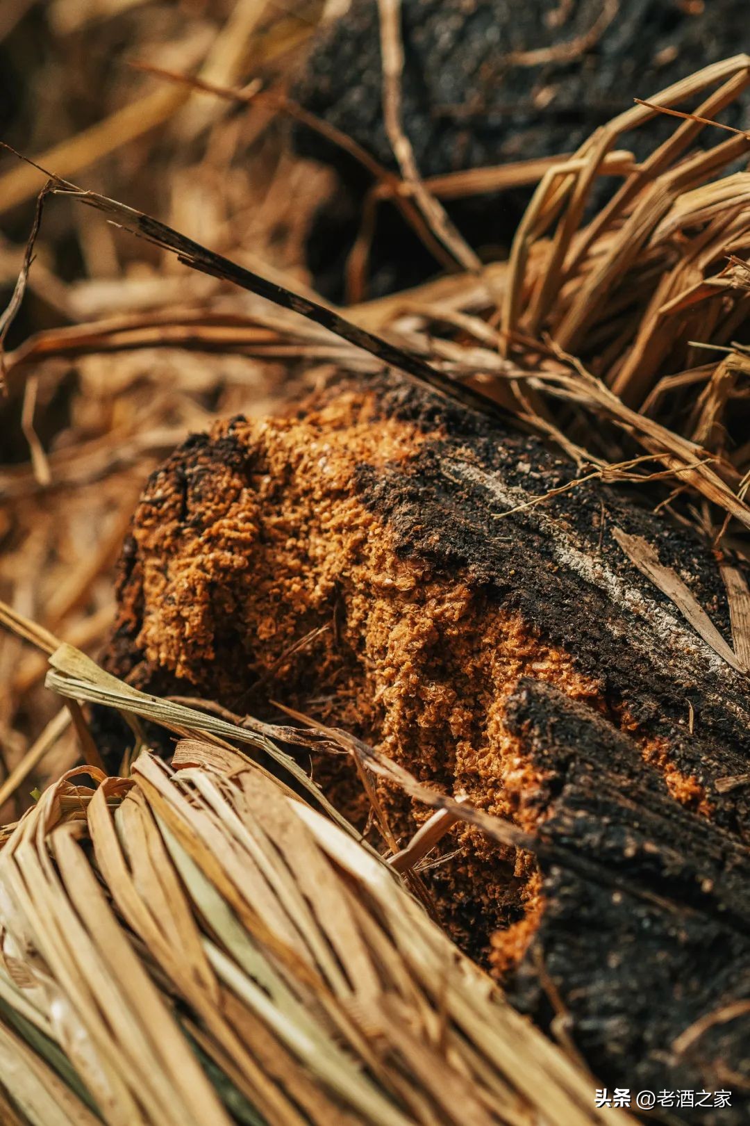 在茅台酒厂上班是什么体验,茅台酒厂上班工资多少