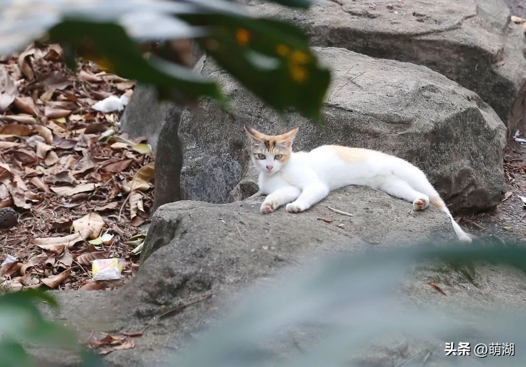 夏天去广州旅游攻略一天,广州旅游攻略一天一夜自由行