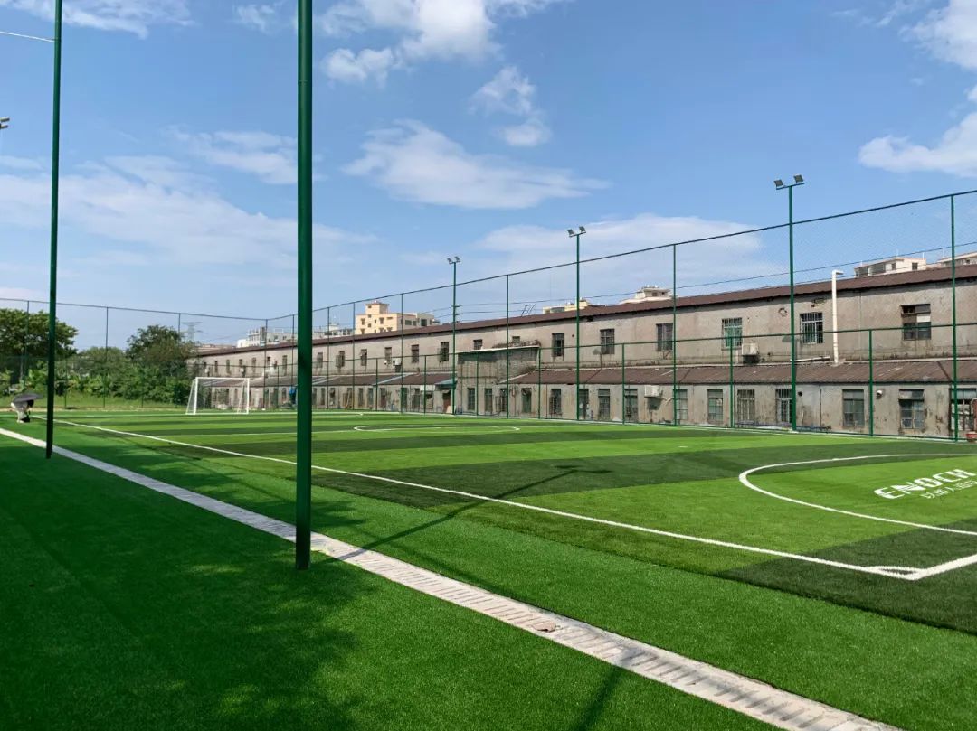 人造草坪维护保养,人造草皮维护