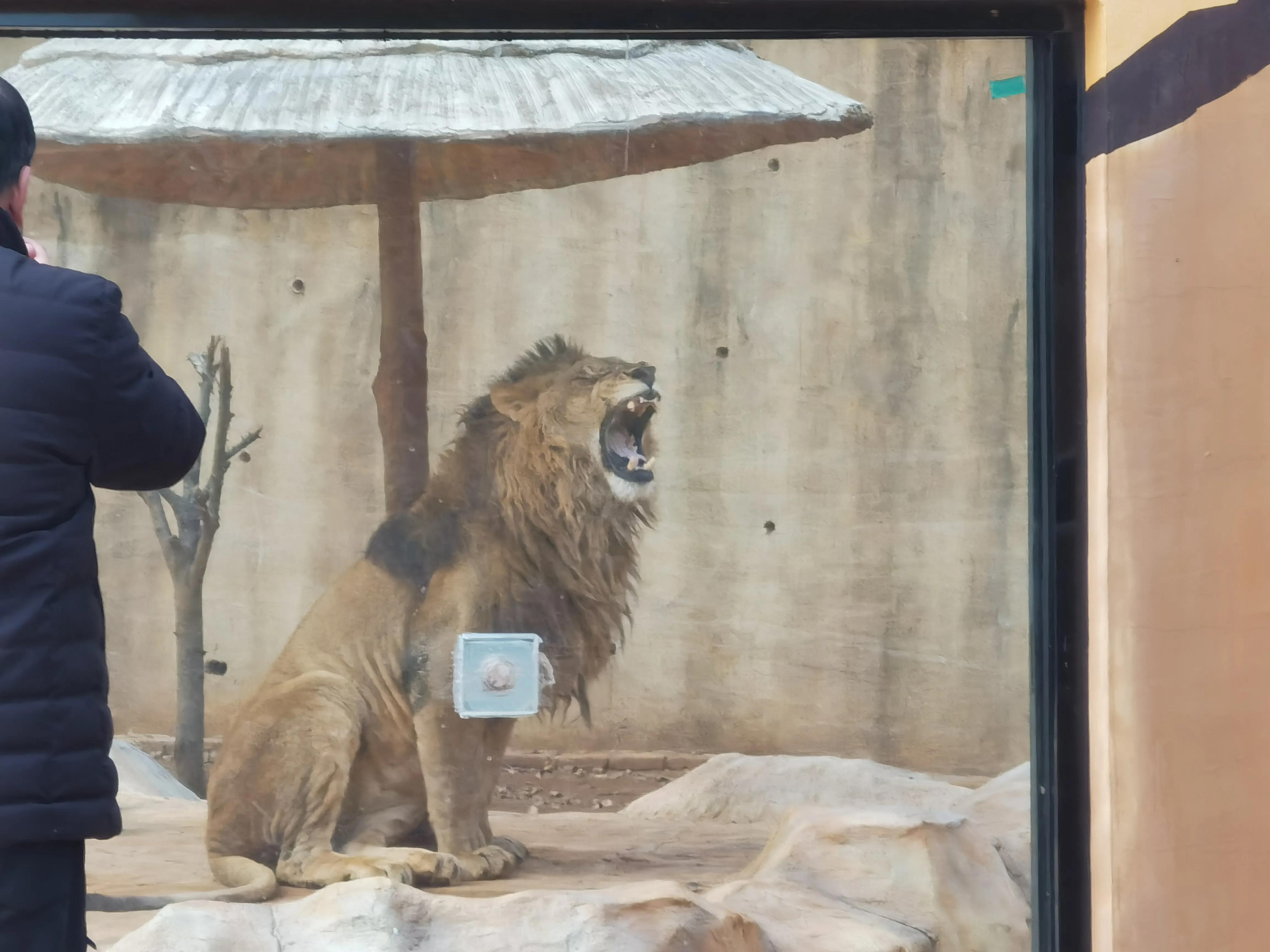 大洪山西游记公园攻略,大洪山西游记公园门票预订