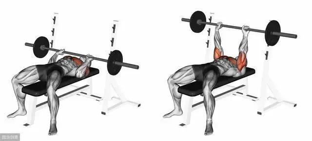 一周健身增肌训练计划,哑铃家庭一周训练计划