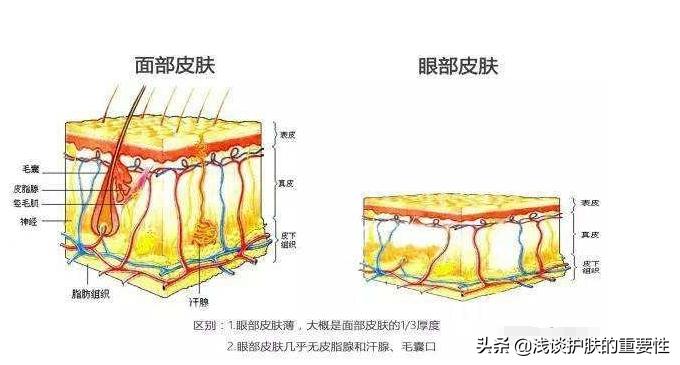 脸上斑细纹干纹怎么消除,脸上干纹细纹怎样修复