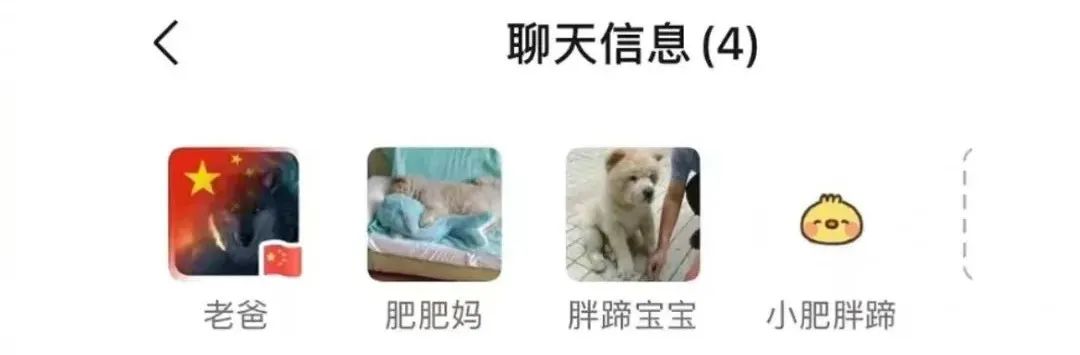 老妈给狗申请微信号,拉进家族群,每天更新朋友圈…可看完我却哭了