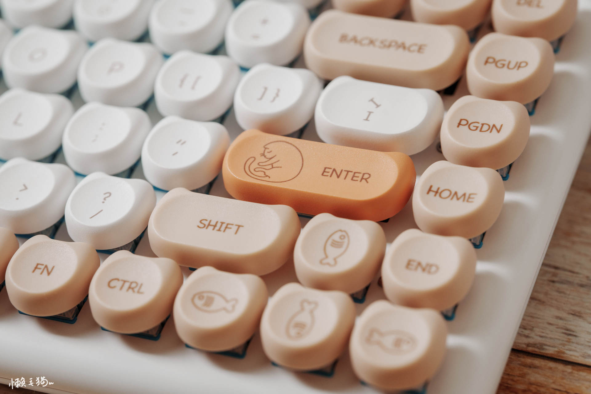 强烈推荐的键盘,推荐这几款键盘