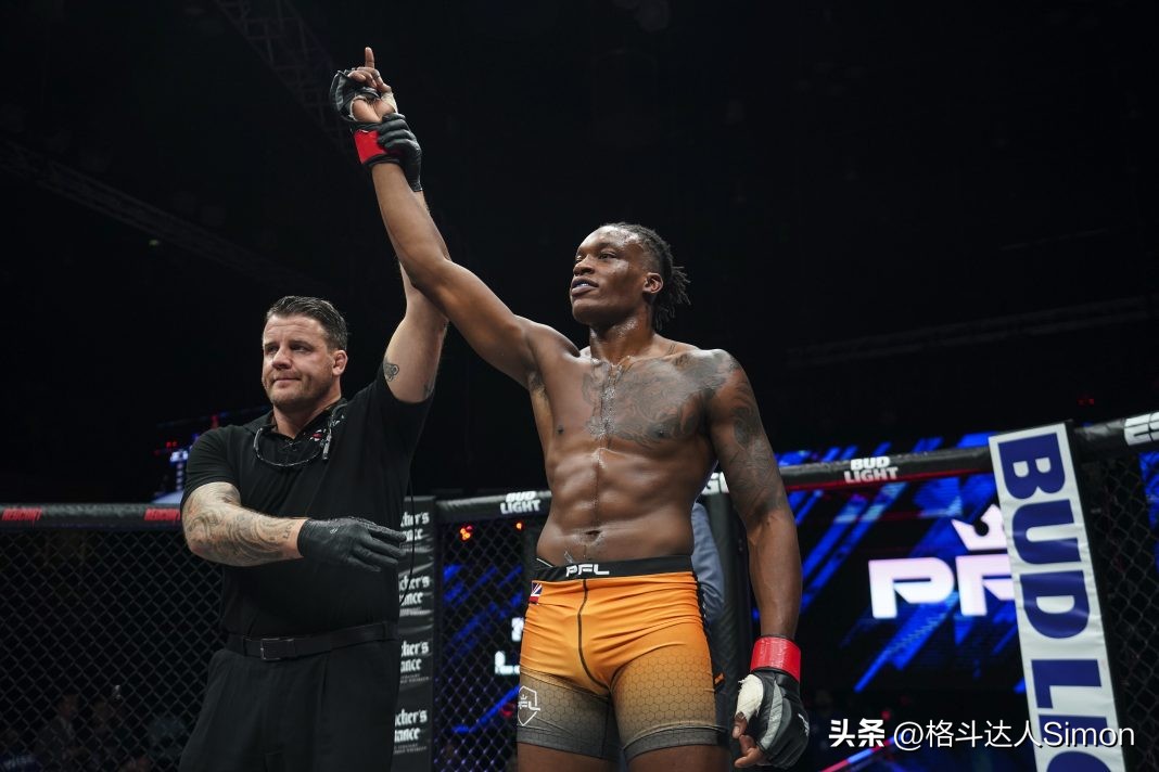 mma十大最佳拳手,mma现役最强轻重量级选手