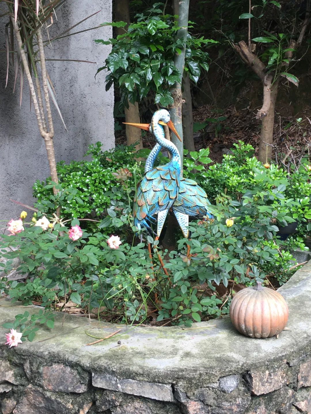 《旭光骑行深圳》第22站——龙华区观湖街道