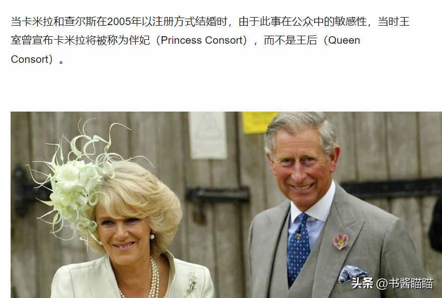 卡米拉王后的孙辈 (卡米拉王后的孙辈照片)