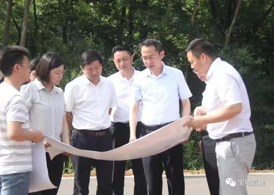 中建材最新项目,中建材最新消息