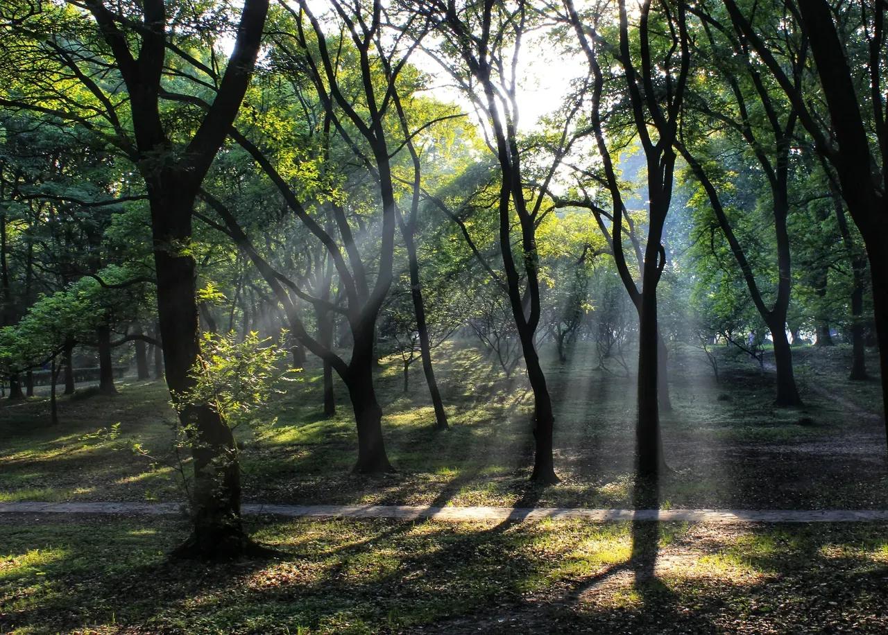 有关铭六1班的一些影影绰绰