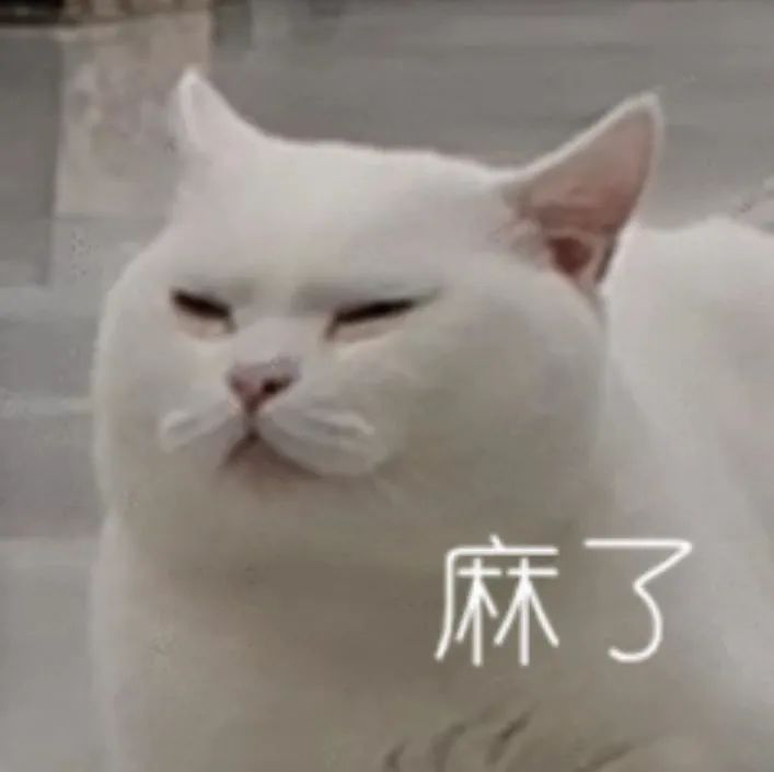 钦州迎来高“蜂”期!蓝朋友2个月摘了181个马蜂窝!