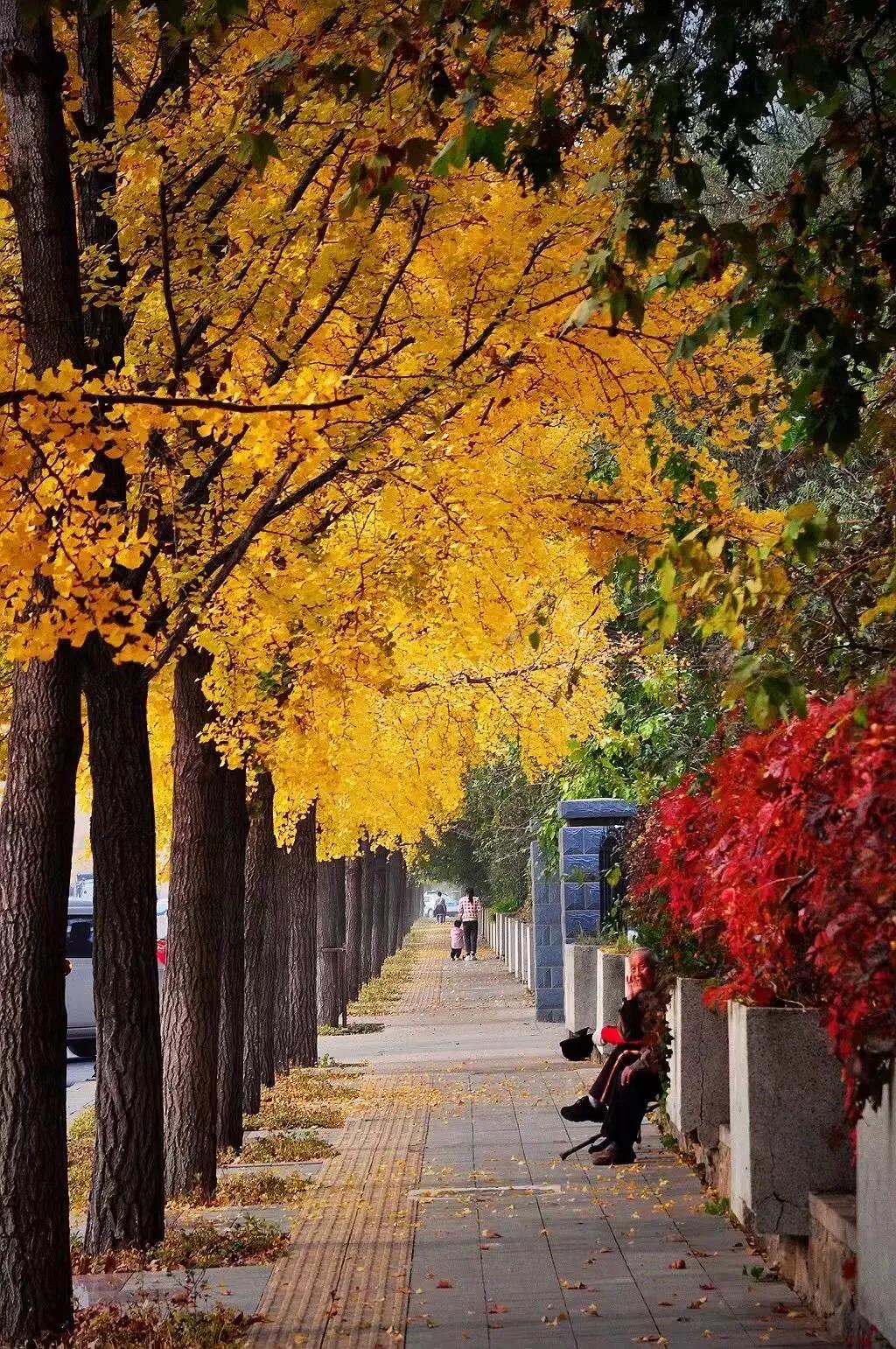 尼康d90是最经典的一款,尼康d9008年价格