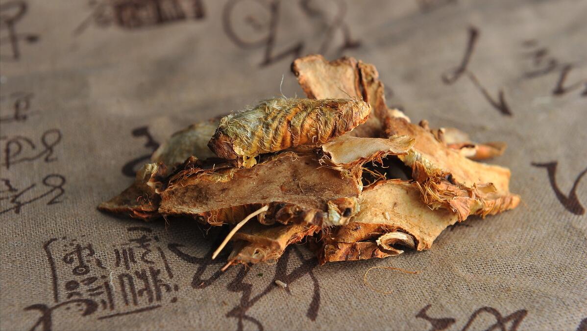 中医详解失眠妙方：酸枣仁汤