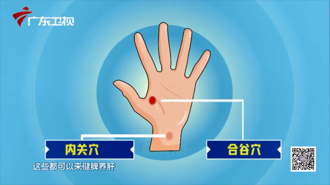 适合寒虚女人喝的养肝护肝茶,中医养生护肝茶