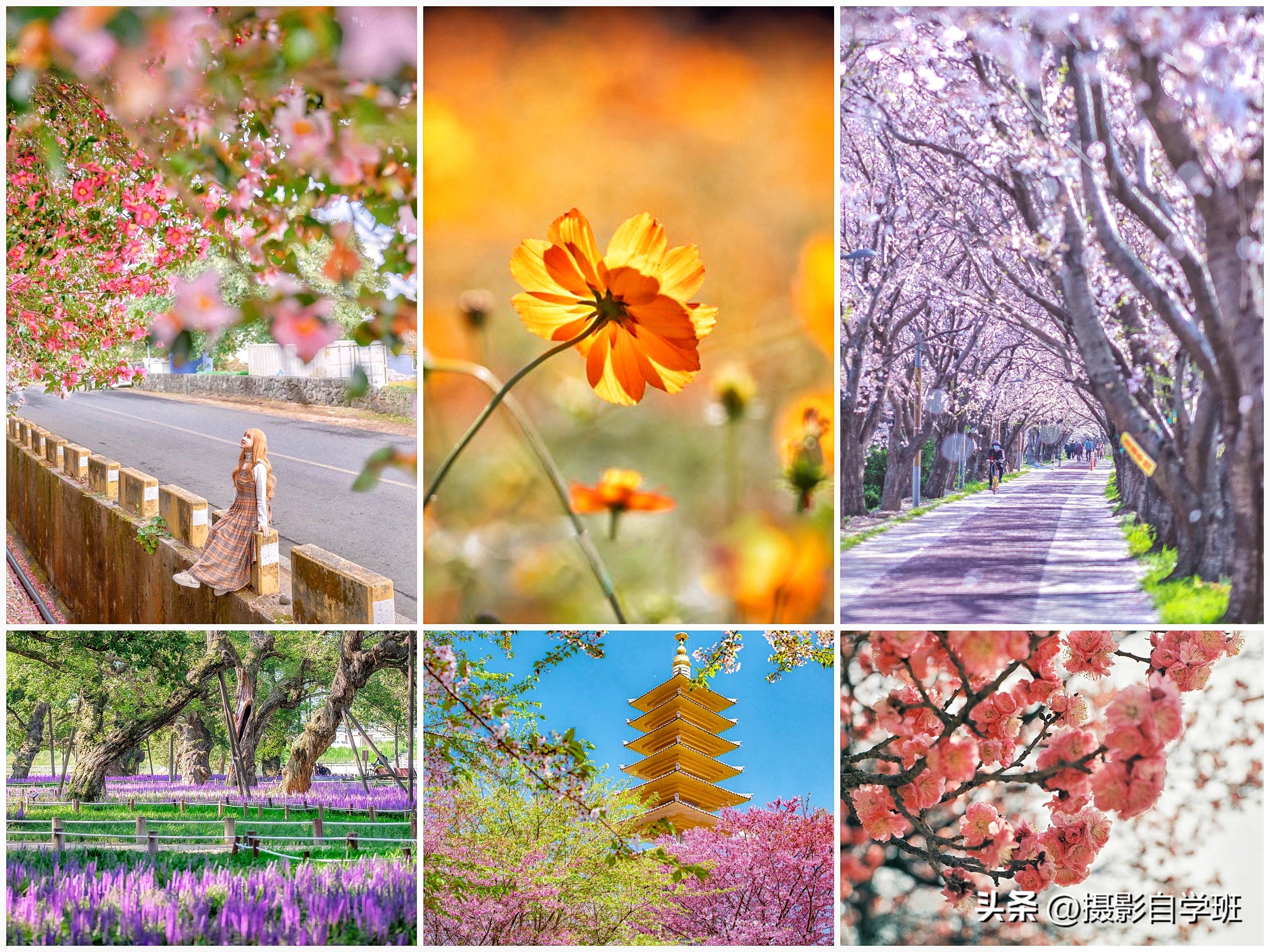 拍风景照片的摄影技巧,风景摄影入门初学者拍照技巧