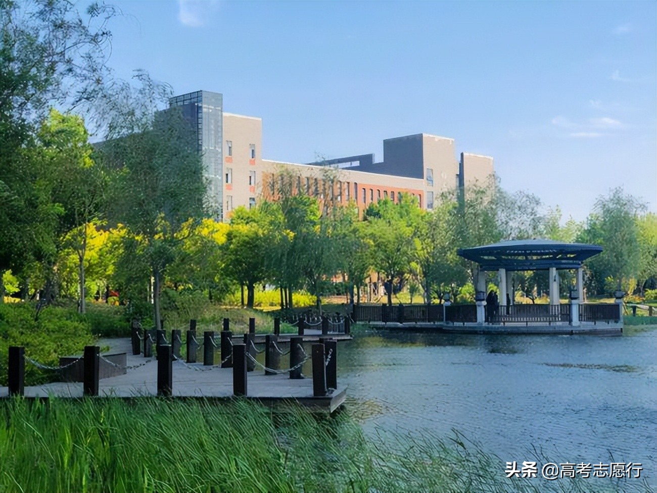 中国最好的财经政法大学排名,一本类财经政法大学