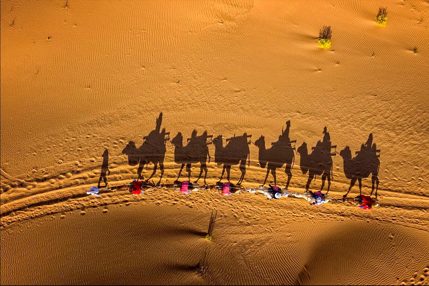 中国最短国界线,中国边境线最短的省份