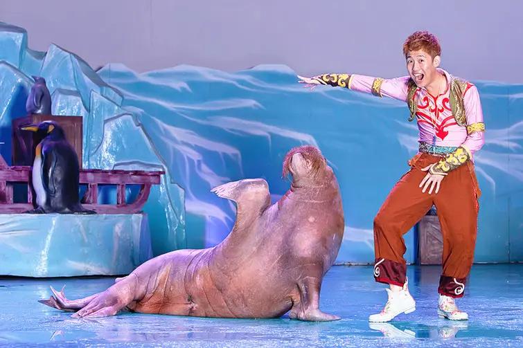 大连旅游攻略3天2夜住宿,大连旅游攻略视频