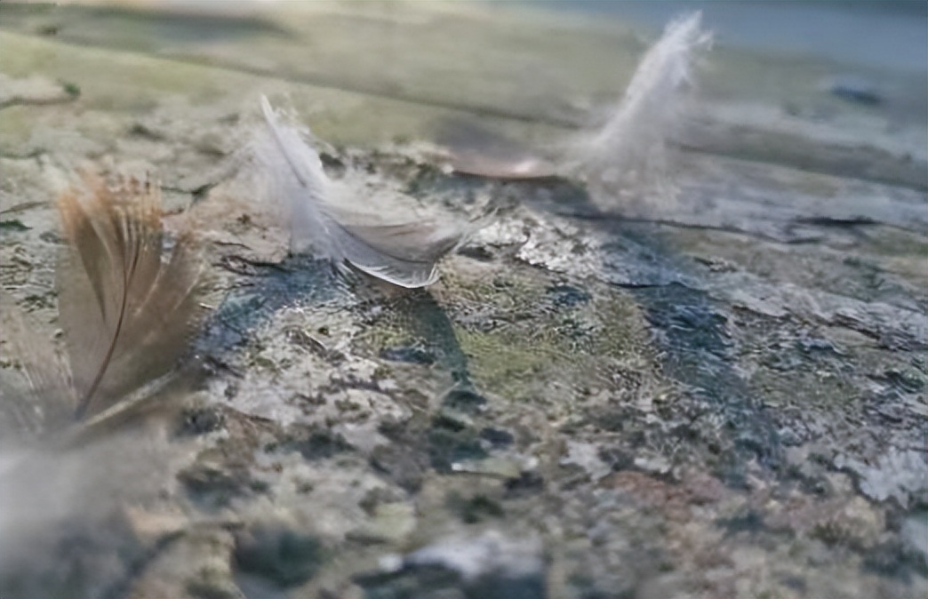 970万自媒体，近11亿网民，饕餮狂欢后，剩下的是满地鸡毛