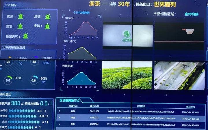 浙茶集团有限公司,浙茶集团有白茶吗