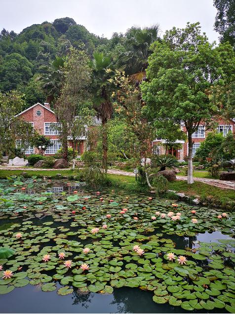 刘柏荣|豪*欲情**把春留住:花困东君酒点唇(原创诗词十首)