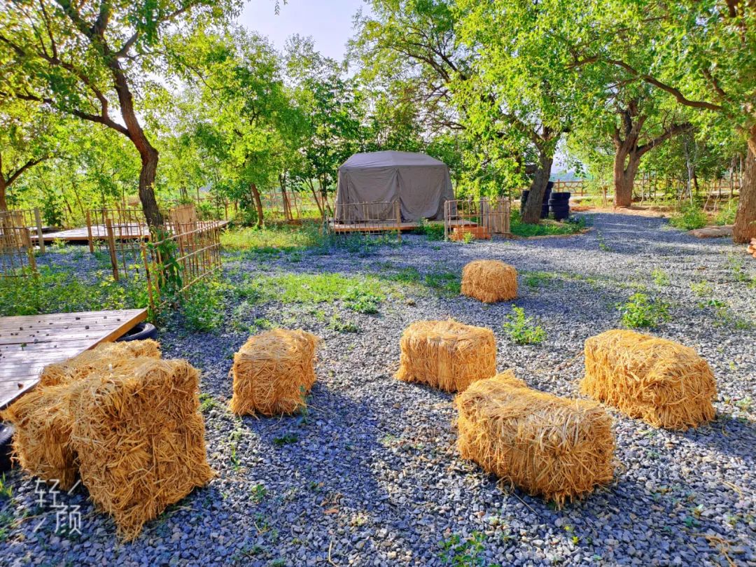 永靖盐锅峡小茨村规划,甘肃永靖盐锅峡小茨村木栈道