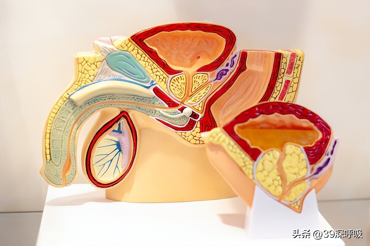 出生没有*丸睾**?4年后医生帮找回“消失的它”