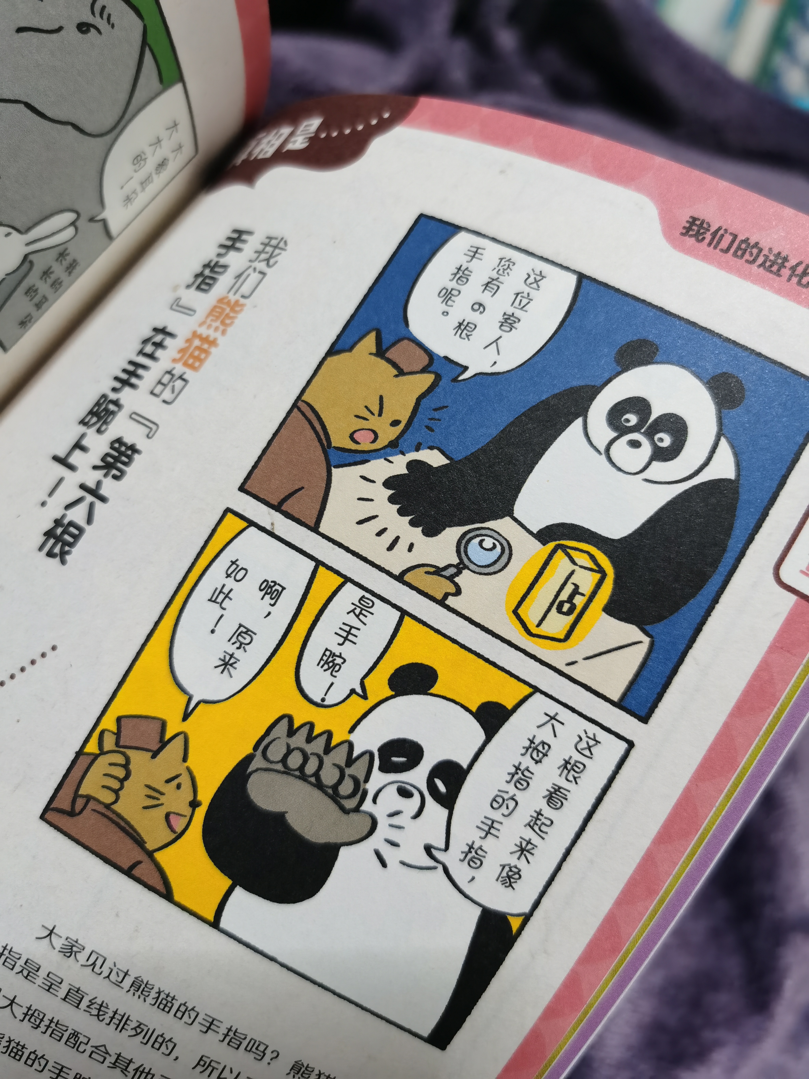 熊猫有几条腿是四条还是两条,你知道熊猫有几根脊椎骨吗