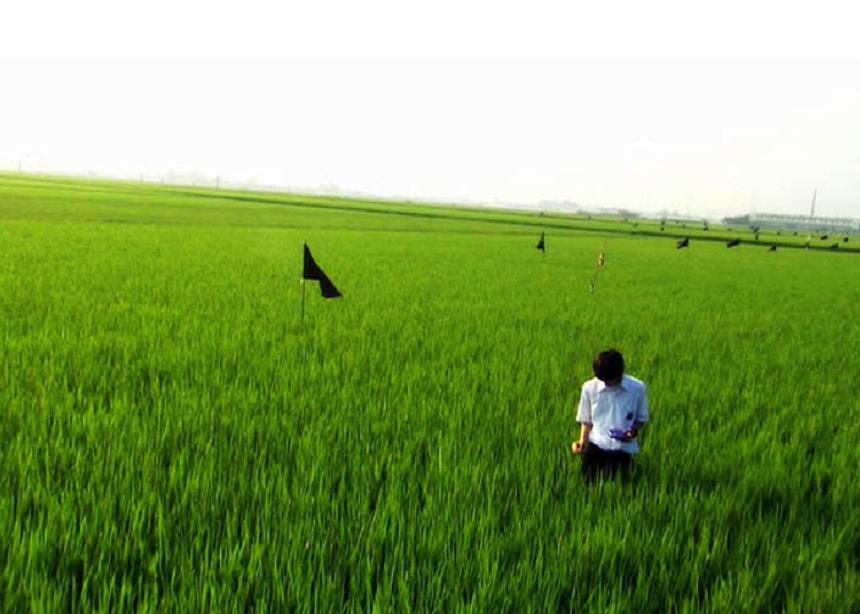 6个“走失”又归来的少年：和网恋对象频繁“出走”，为打游戏离家一个多月，回家后被送进特殊学校封闭管理