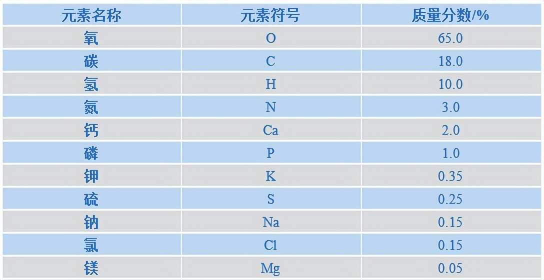 科学知识大全小学生必背,科学知识大全全集