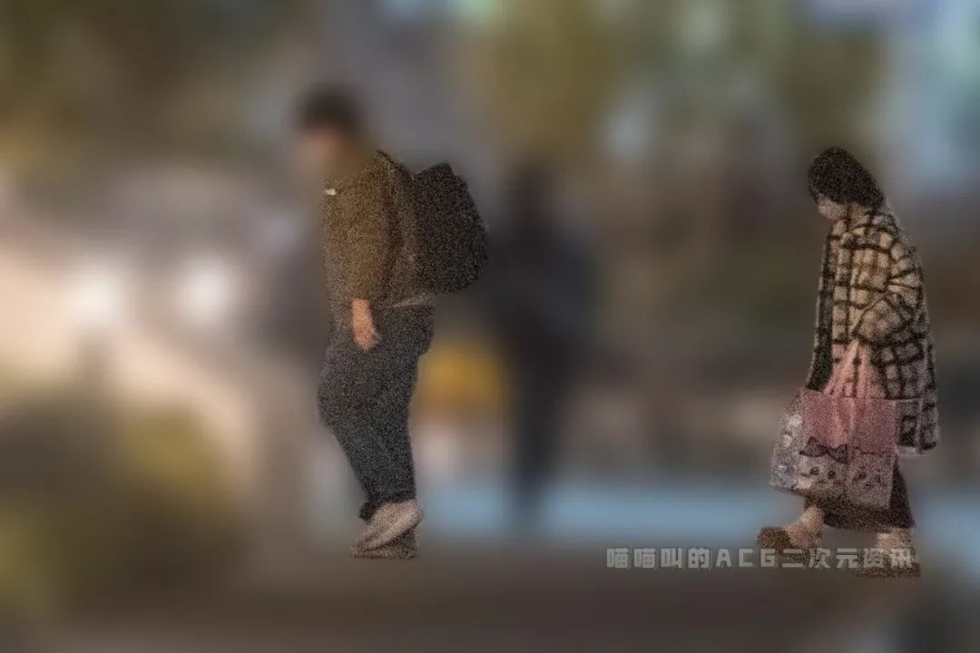 日本coser伊织萌,日本coser野水伊织