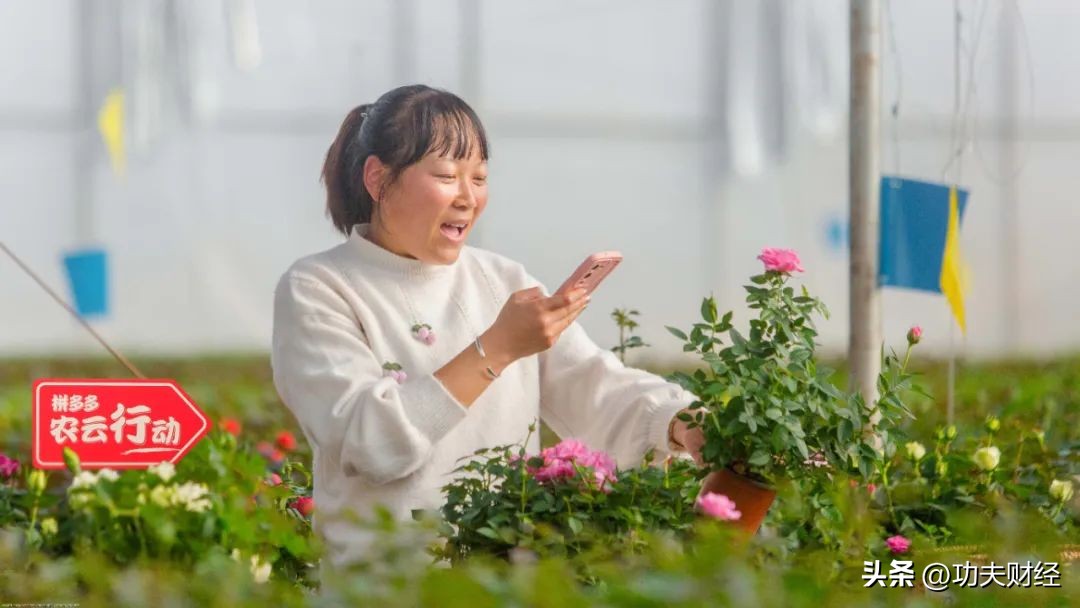 拼多多产品怎么定多个价格,拼多多号码被绑定了在哪里解开