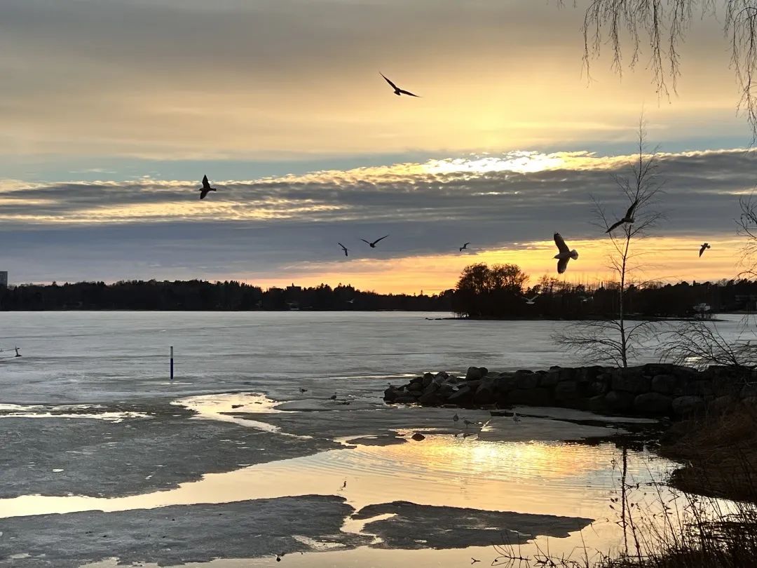 芬兰旅行攻略必去景点,芬兰邮轮旅游攻略
