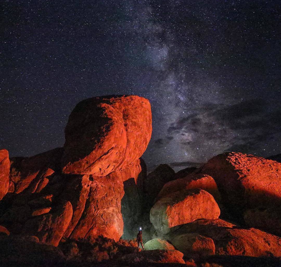 国外美女姐姐海里偶遇一只小鱼，竟引发神奇友谊！网友：前世情人